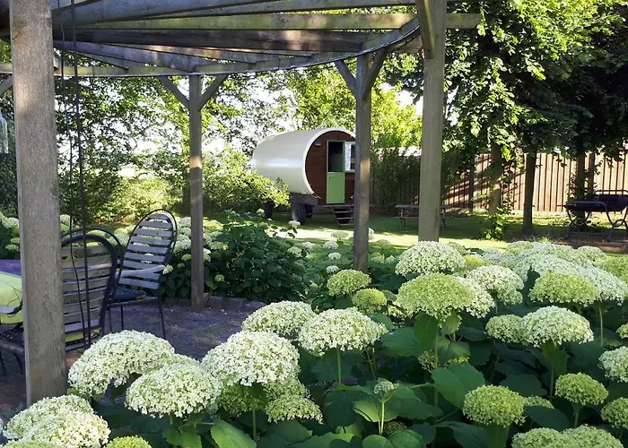Irish Bowtop Op Het Platteland Huize Ouwervelden Wouwsche Plantage