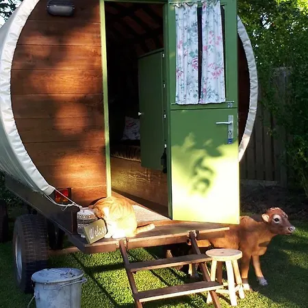 Irish Bowtop Op Het Platteland Huize Ouwervelden 캠프장