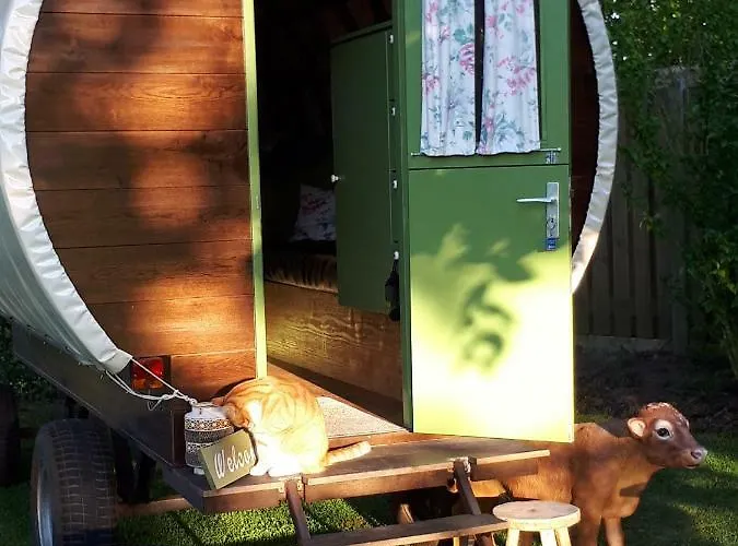 Irish Bowtop Op Het Platteland Huize Ouwervelden Кемпинг